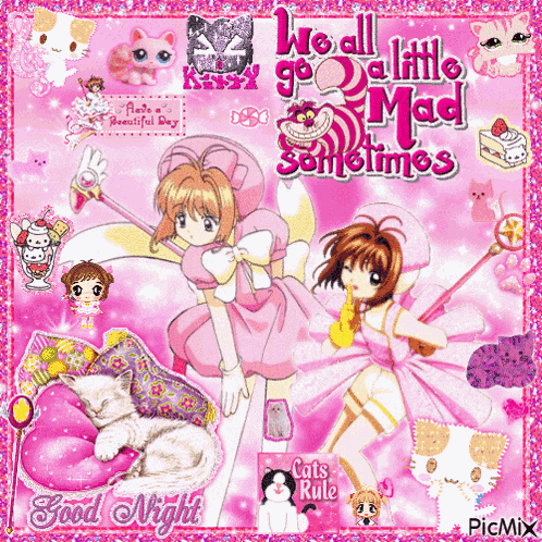 Cardcaptor Sakura Sakura Kinomoto GIF