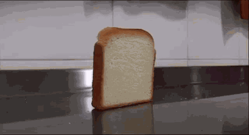 Cardinalepan Cardinale GIF