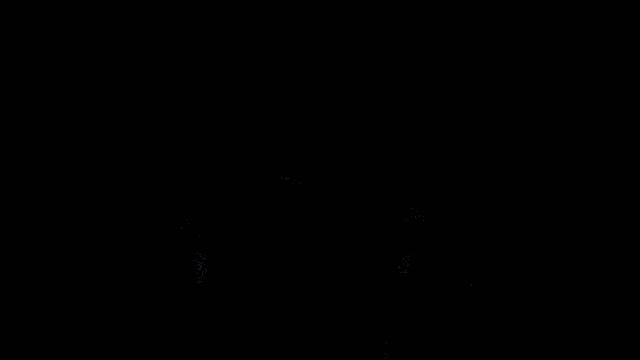 Carolina Carolina Panthers GIF