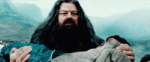 Carrying Harry GIF
