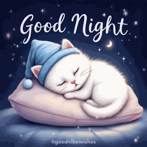 Cat Animation GIF
