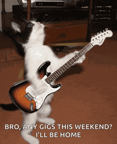Cat As Ryan Follese Guitarist Of The Band Hot Chelle Rae GIF