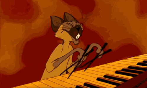 Cat Asian GIF
