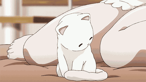Cat Banner GIF