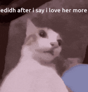 Cat GIF