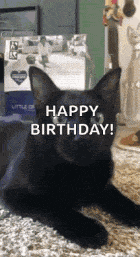 Cat Birthday GIF