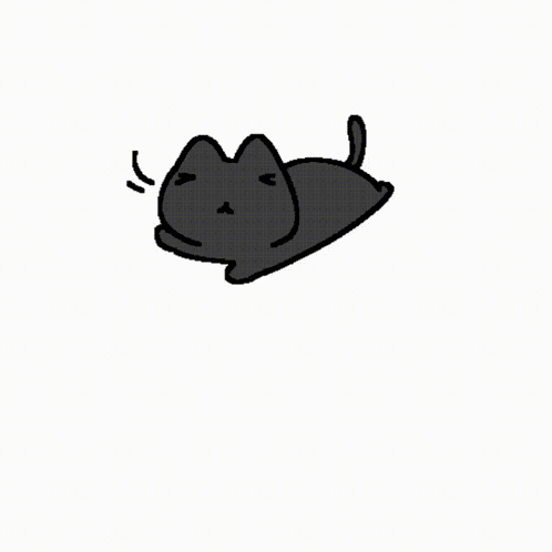 Cat Black And White GIF