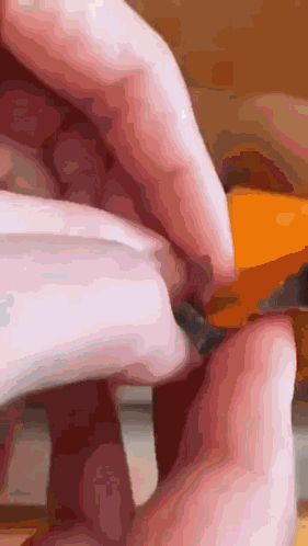 Cat Car GIF