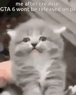 Cat Cat Angry GIF