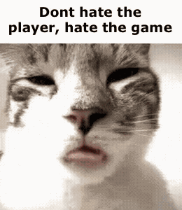Cat Cat Meme GIF