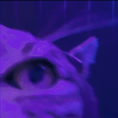 Cat Cat Meme GIF