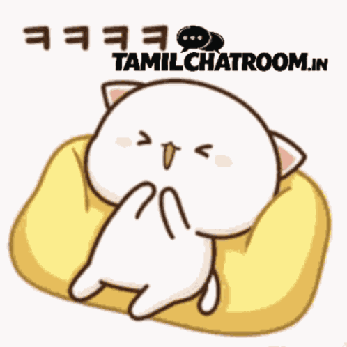 Cat Cat Meme GIF