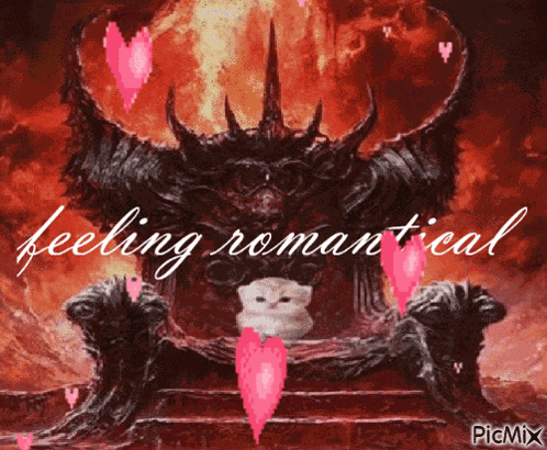 Cat Cat Meme GIF GIF