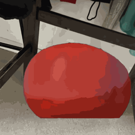 Cat Cat Tomato GIF