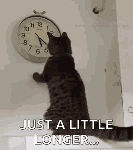 Cat Changing The Clock Changing The Time GIF