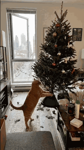 Cat Christmas Tree GIF
