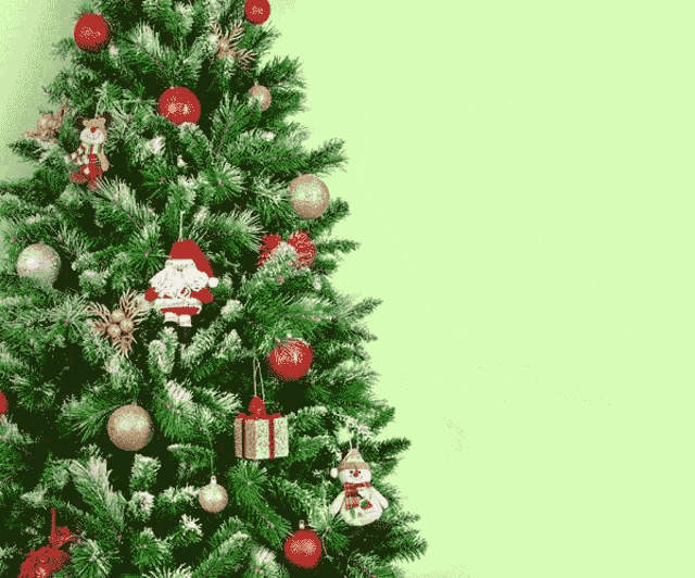 Cat Christmas Tree GIF