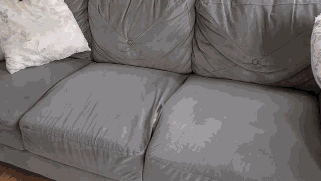 Cat Climbing Couch GIF