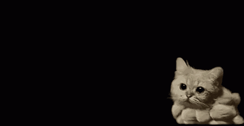 Cat Cloud Cat Smoke GIF