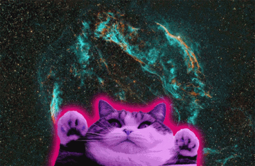 Cat Colors GIF