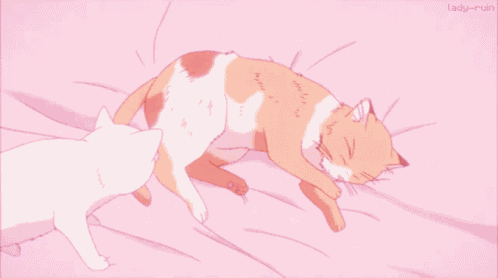 Cat Cuddle Cat GIF