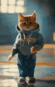 Cat Dancing GIF