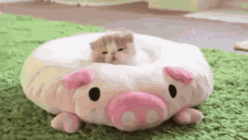 Cat Daun Sleep GIF