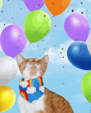 Cat Devon Rex Awesome Party Birthday Balloons Confetti Hooray GIF
