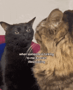Cat Dissociate GIF