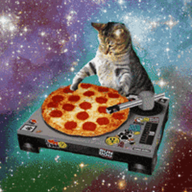Cat Dj GIF