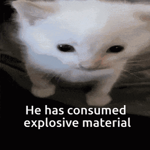 Cat Explosion GIF