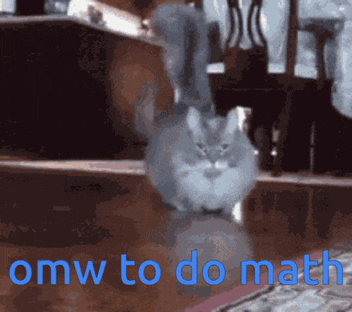 Cat Fast Omw To Do Math Maths Gato GIF