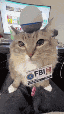 Cat Fbi GIF