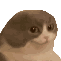 Cat Funny Cat Sticker