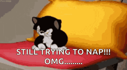 Cat Funny Funny Cat GIF