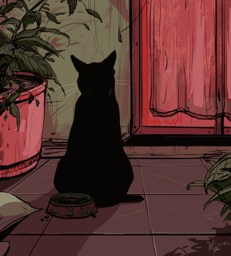 Cat GIF