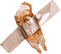 Cat Ginger Cat Sticker