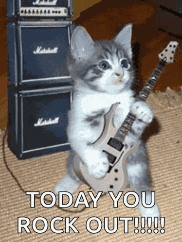 Cat Guitar GIF
