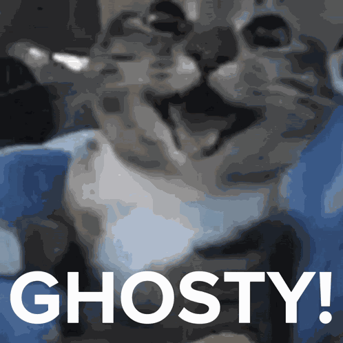 Cat Happy GIF