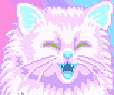 Cat Happy GIF