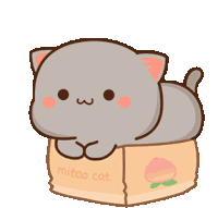 Cat In Peach Box Sticker