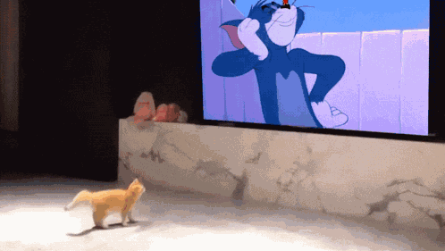 Cat Jump GIF