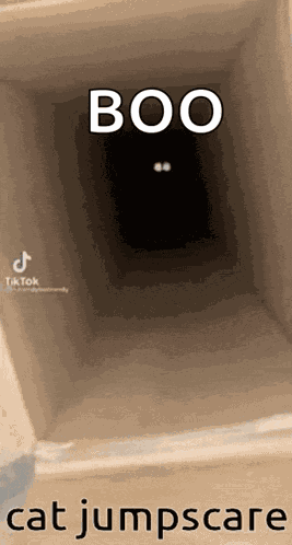 Cat Jumpscare GIF