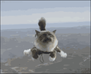 Cat Kawaii GIF
