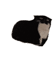 Cat Kenneduck Sticker