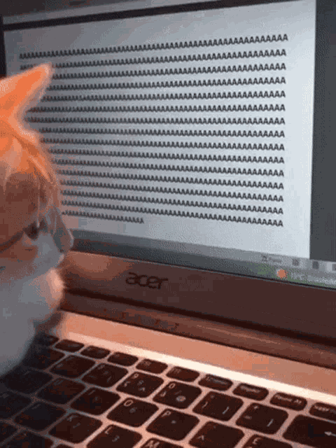 Cat Keyboard GIF