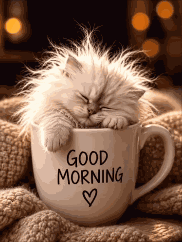 Cat Kitty Coffee Good Morning Sleepy Yawn GIF