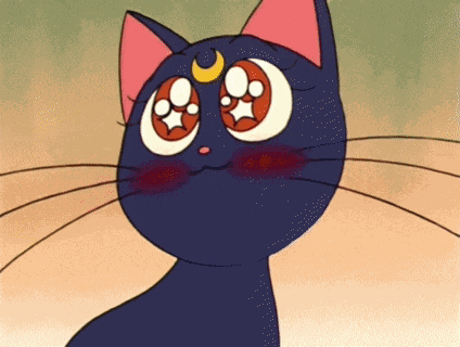 Cat GIF