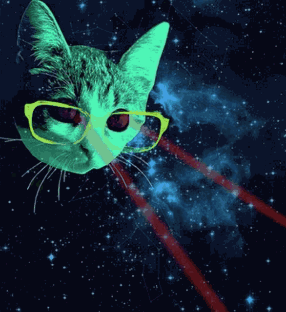 Cat Laser GIF