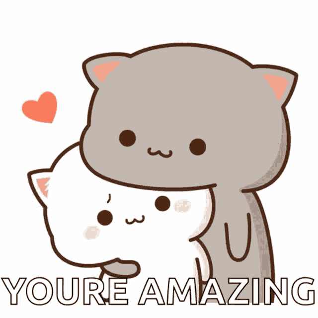 Cat Love GIF
